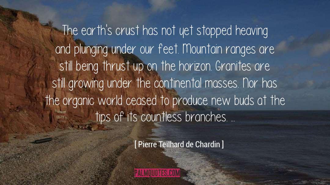 Continental quotes by Pierre Teilhard De Chardin