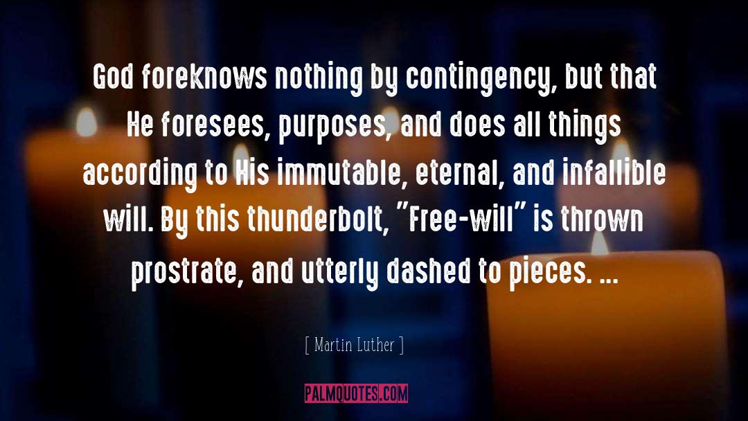 Contingency quotes by Martin Luther