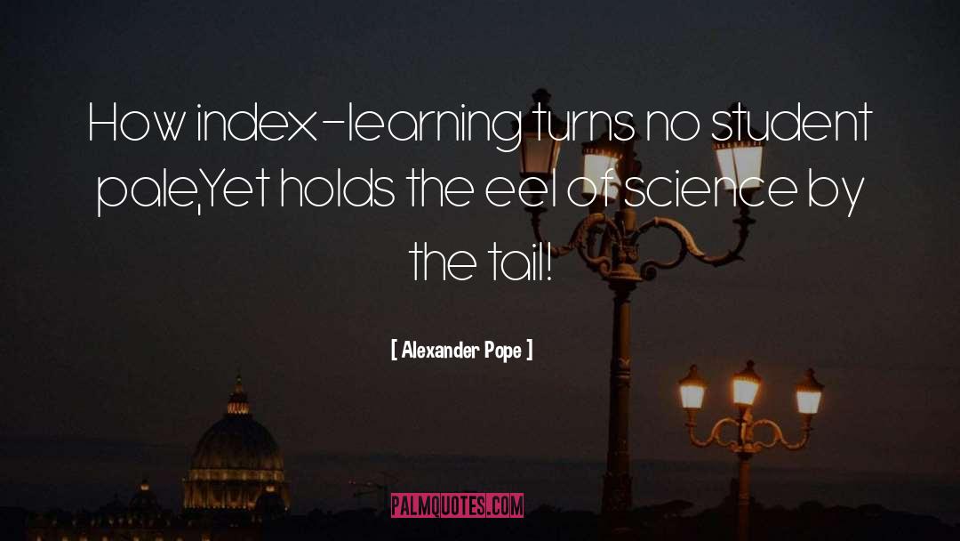 Continually Learning quotes by Alexander Pope