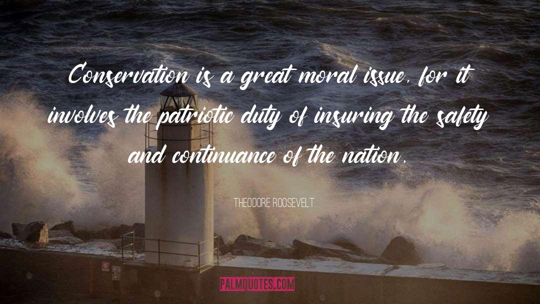 Continuance quotes by Theodore Roosevelt