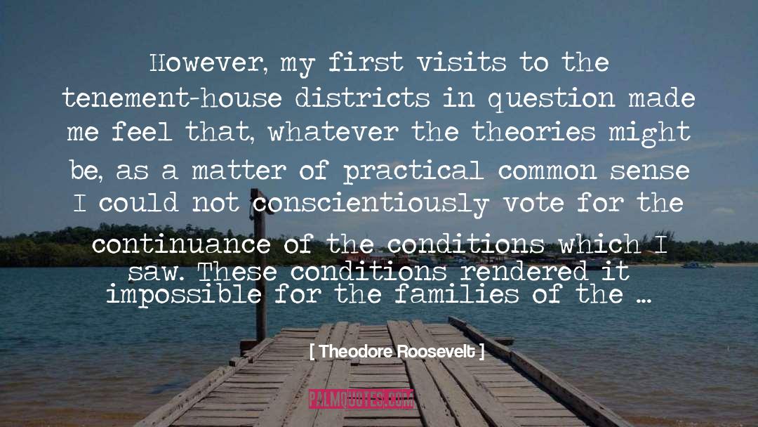 Continuance quotes by Theodore Roosevelt