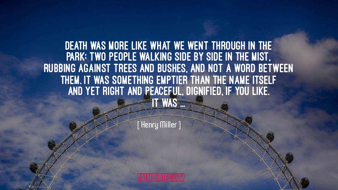Continuation Of Life quotes by Henry Miller