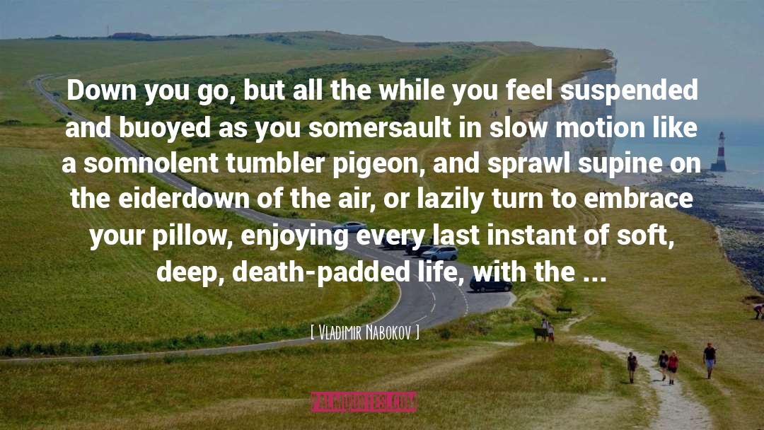 Continuous Motion quotes by Vladimir Nabokov