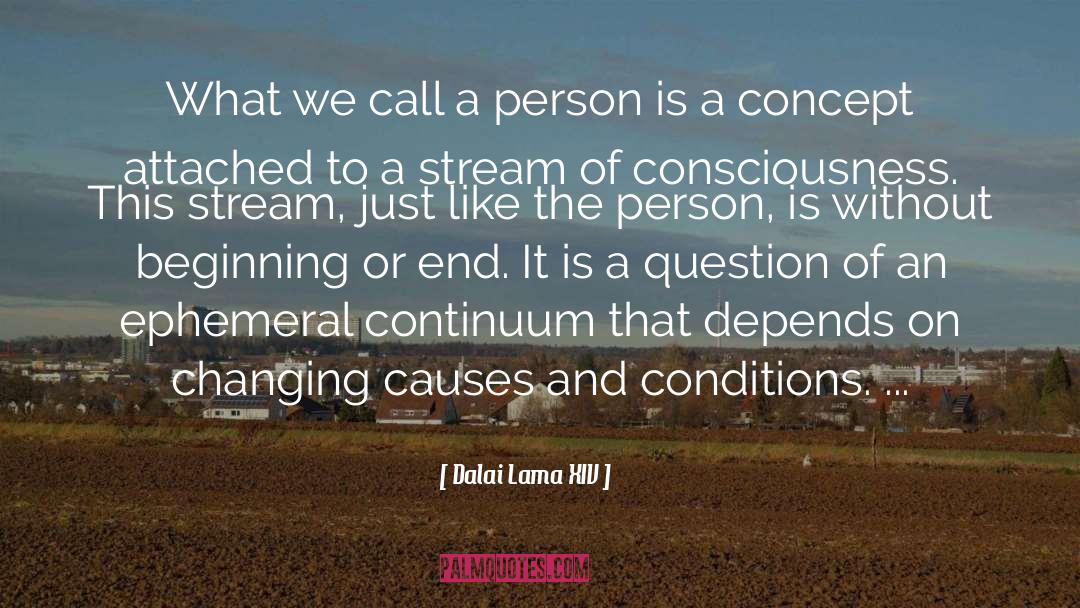 Continuum quotes by Dalai Lama XIV