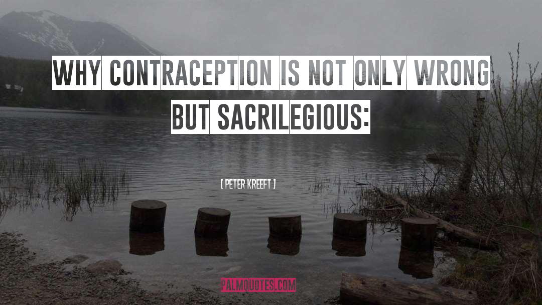 Contraception quotes by Peter Kreeft