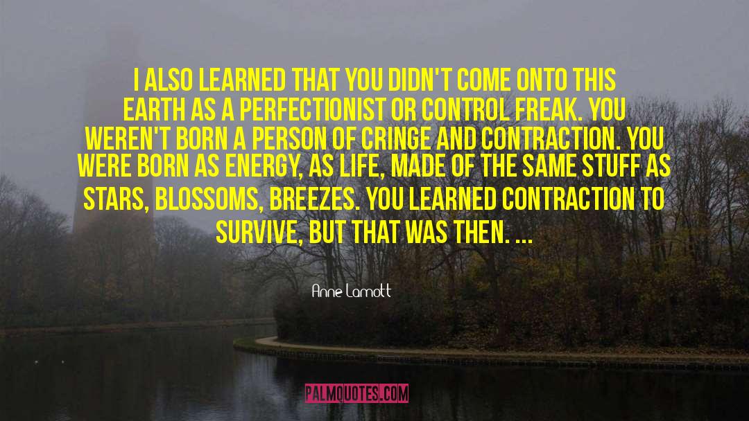 Control Freak quotes by Anne Lamott