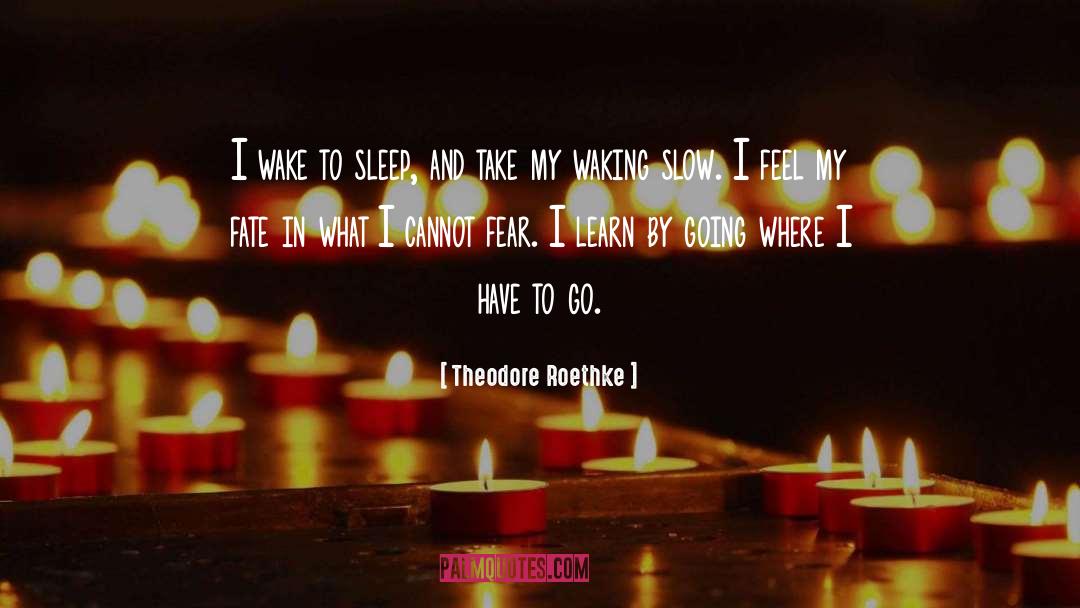 Control My Fate quotes by Theodore Roethke