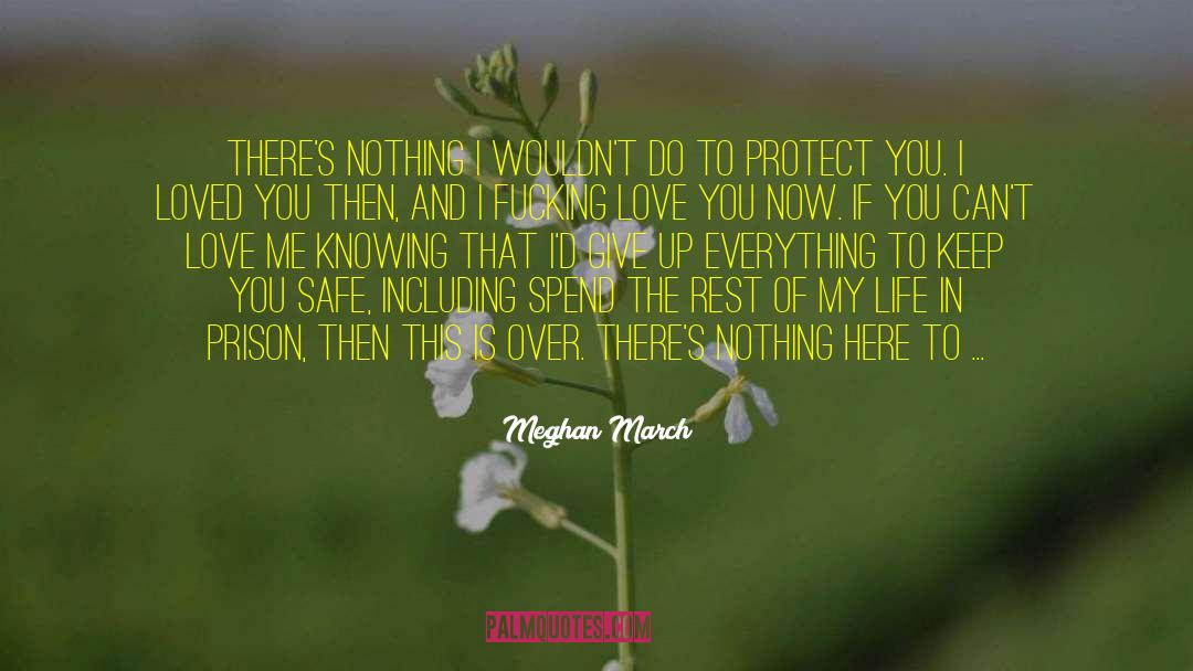 Control Over Life quotes by Meghan March