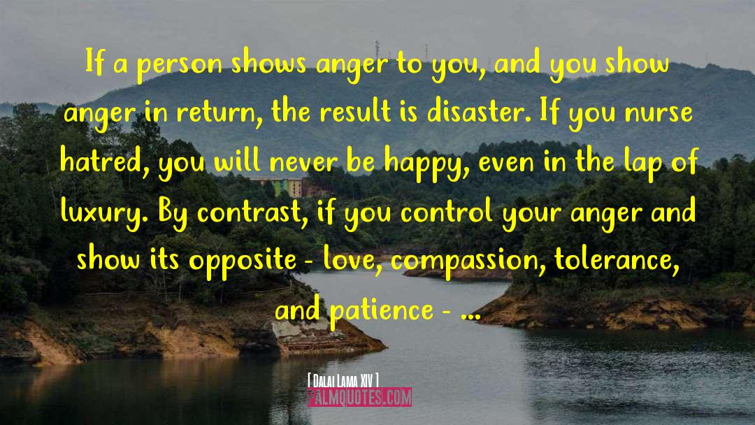 Control Your Anger quotes by Dalai Lama XIV