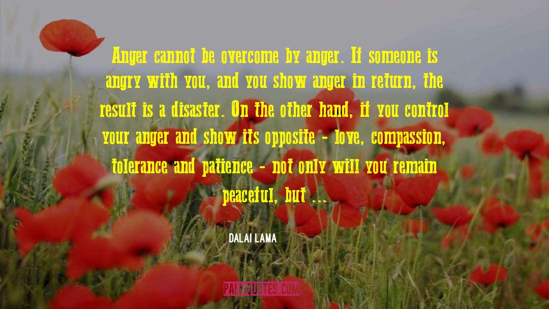 Control Your Anger quotes by Dalai Lama