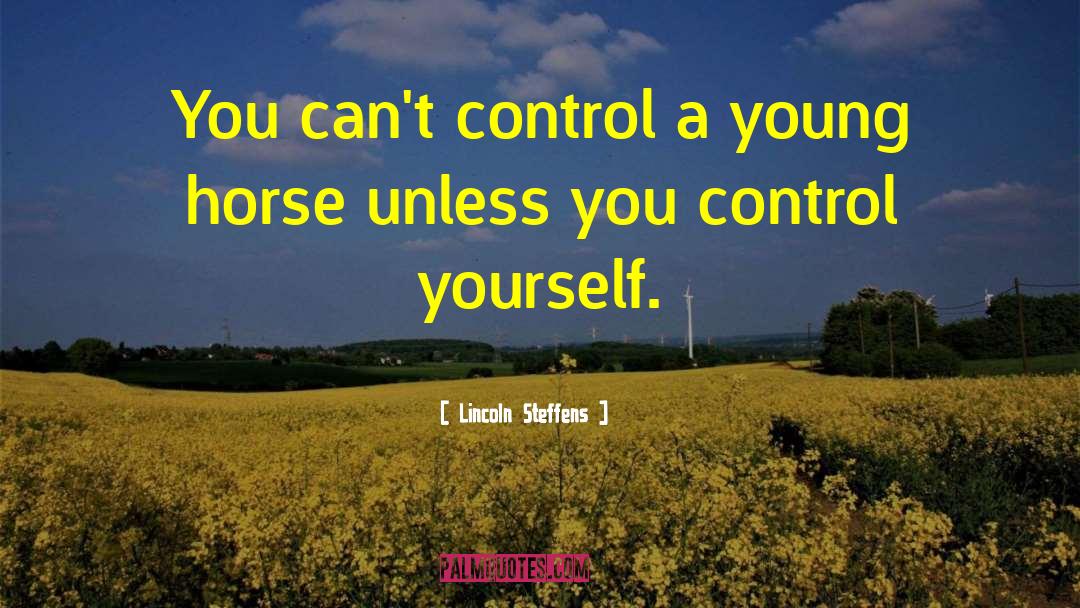 Control Yourself quotes by Lincoln Steffens