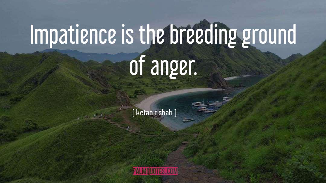 Controlling Anger quotes by Ketan R Shah