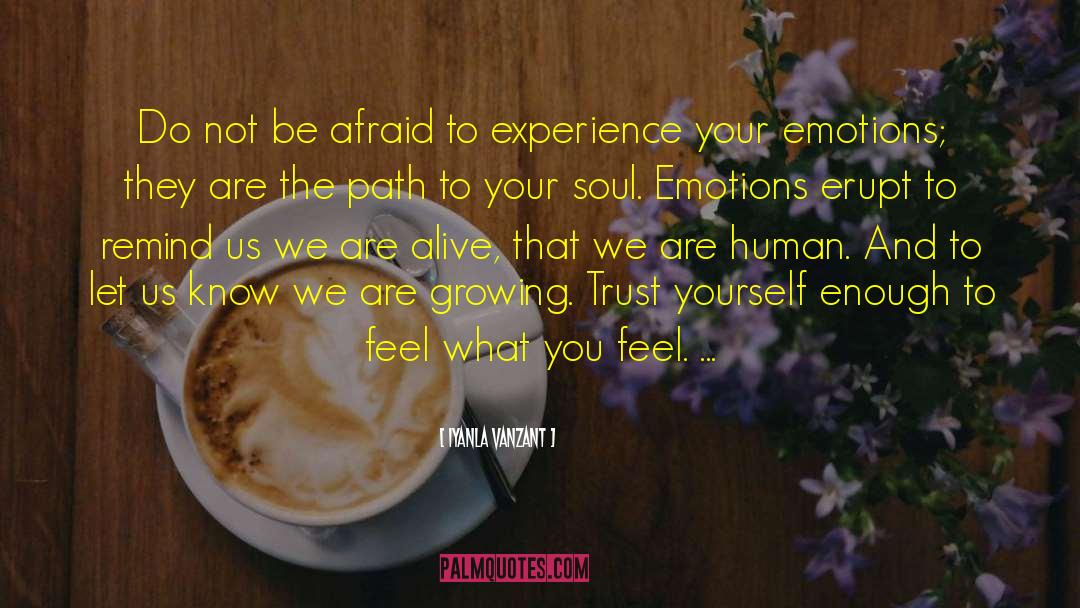 Controlling Your Emotions quotes by Iyanla Vanzant