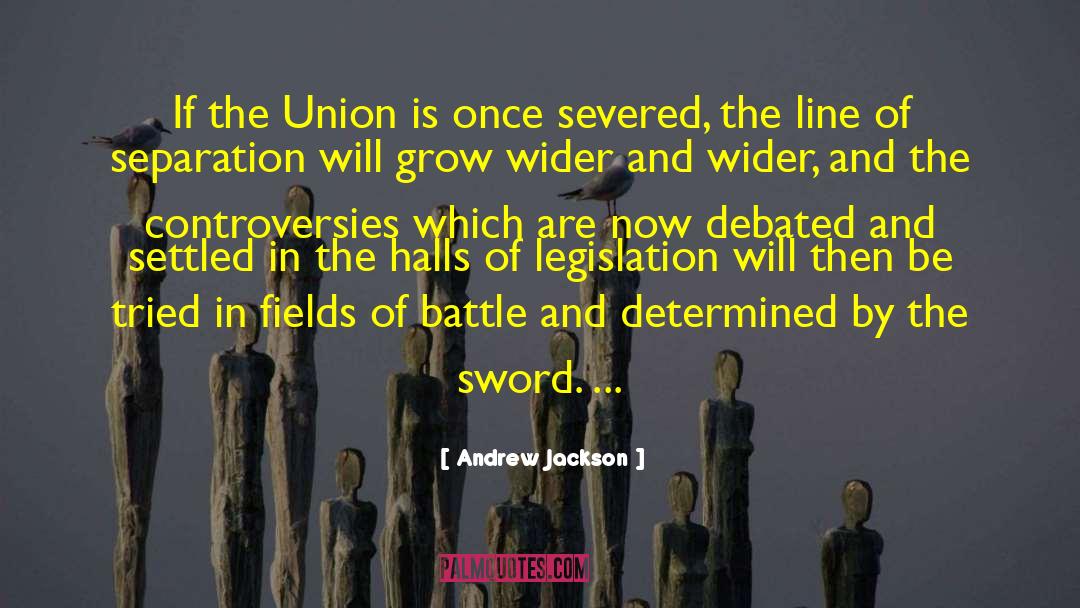 Controversies quotes by Andrew Jackson