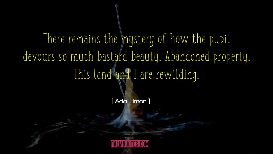 Conventional Beauty quotes by Ada Limon