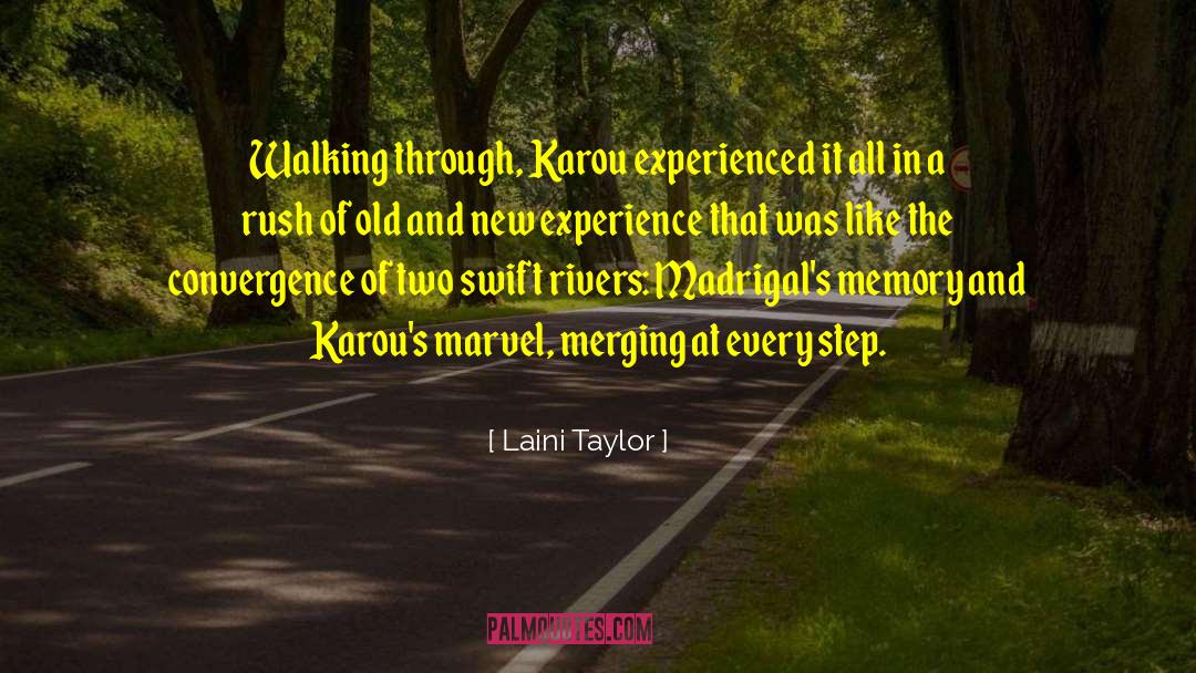 Convergence quotes by Laini Taylor