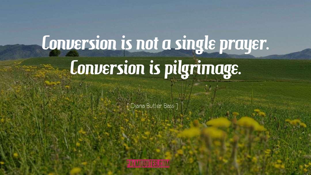 Conversion quotes by Diana Butler Bass