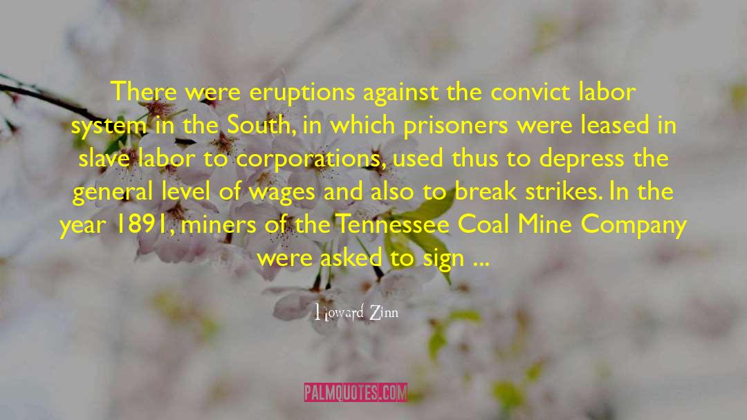 Convicts quotes by Howard Zinn