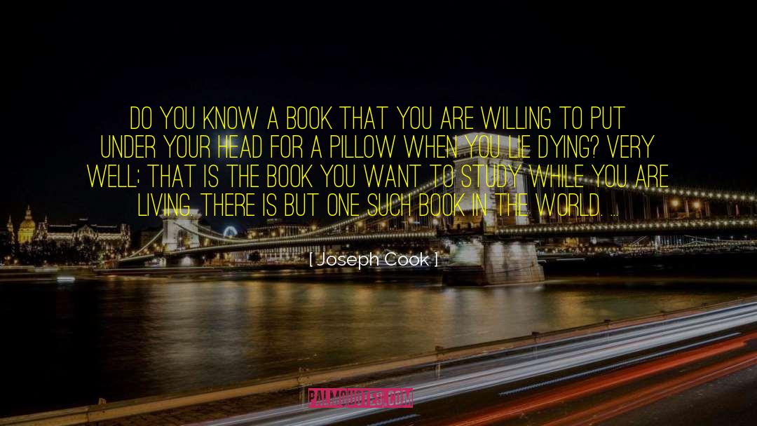 Coodle Pillow quotes by Joseph Cook