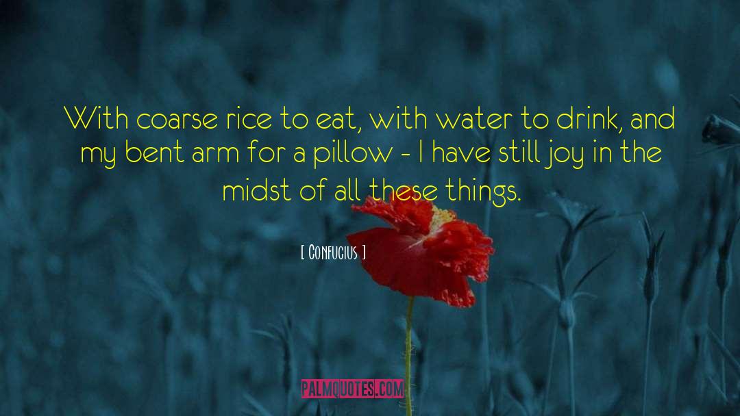 Coodle Pillow quotes by Confucius
