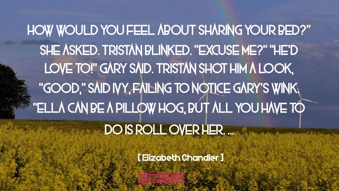 Coodle Pillow quotes by Elizabeth Chandler