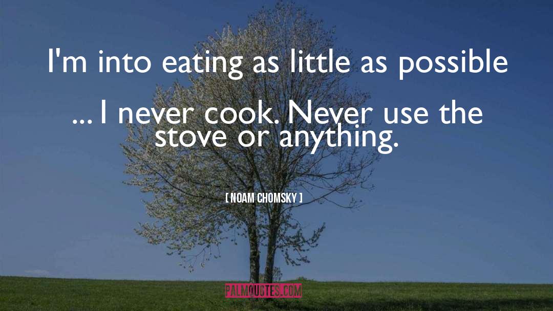 Cook quotes by Noam Chomsky