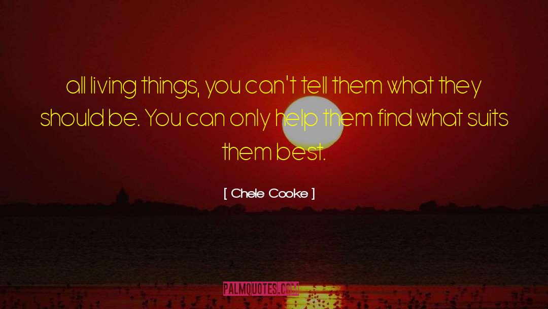 Cooke quotes by Chele Cooke
