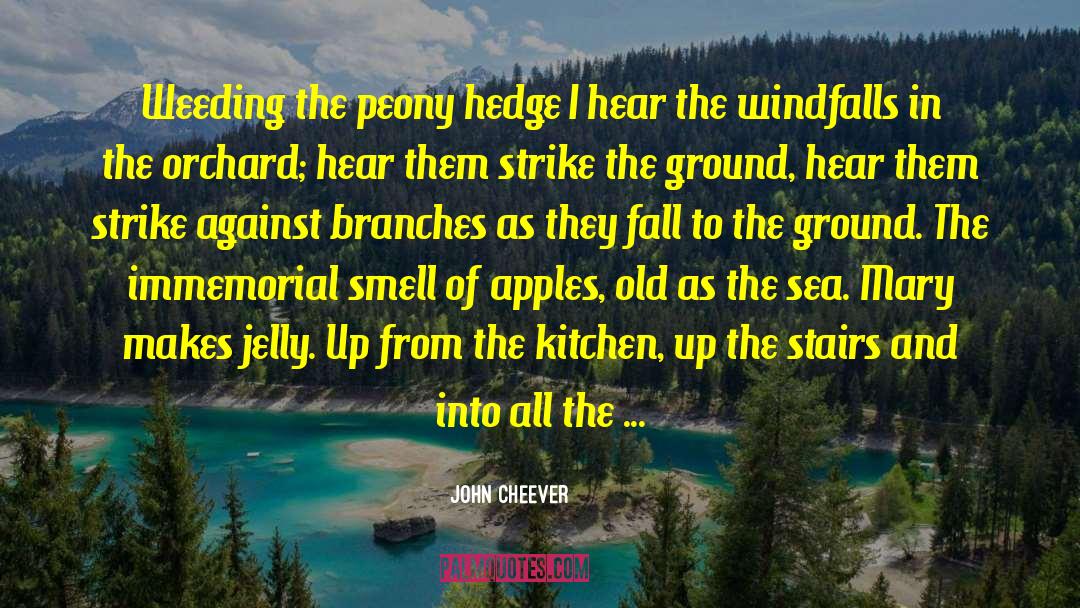 Cooks In The Kitchen quotes by John Cheever