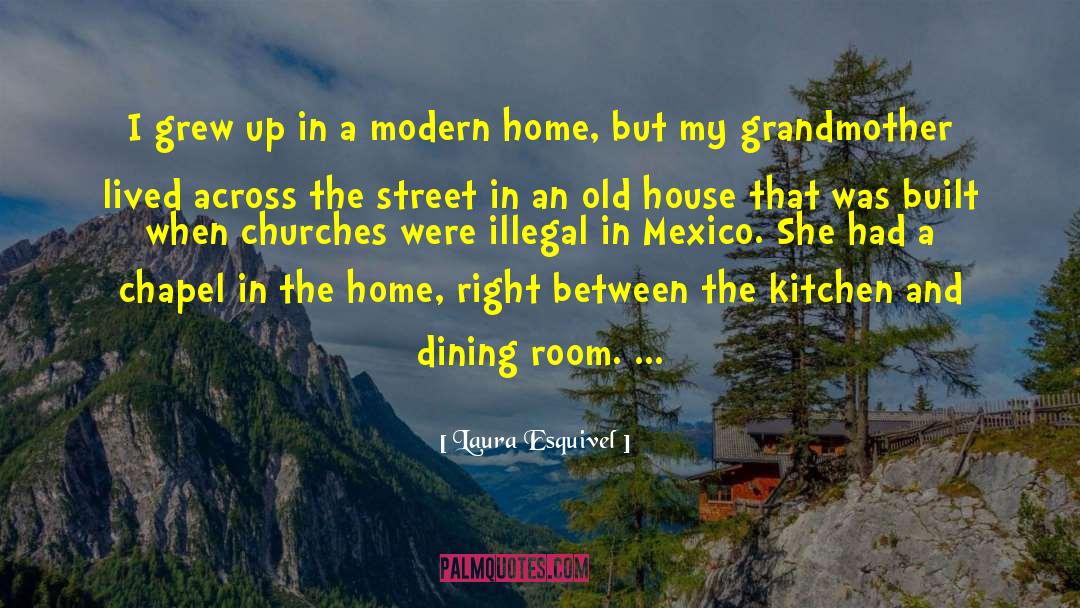 Cooks In The Kitchen quotes by Laura Esquivel