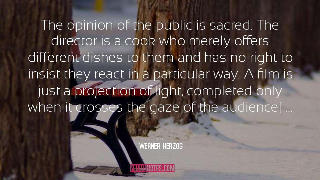 Cooks quotes by Werner Herzog