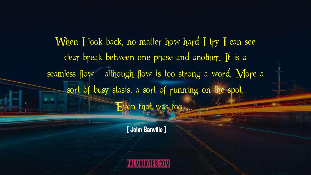 Cool Break Up quotes by John Banville
