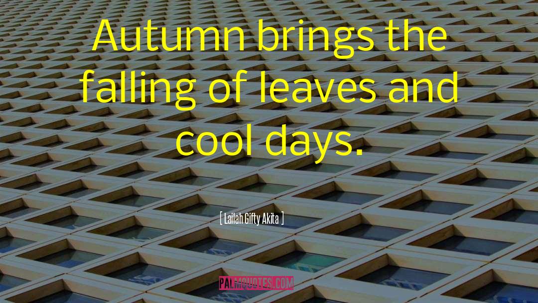 Cool Days quotes by Lailah Gifty Akita