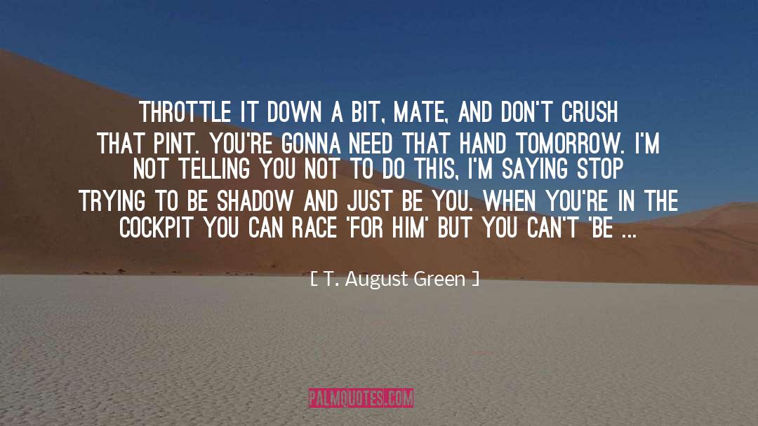 Cool Down quotes by T. August Green