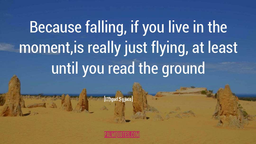 Cool Flying quotes by Miguel Syjuco