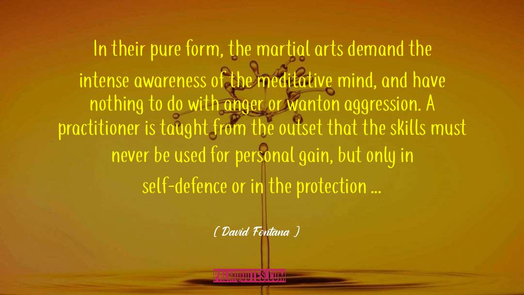 Cool Martial Art quotes by David Fontana