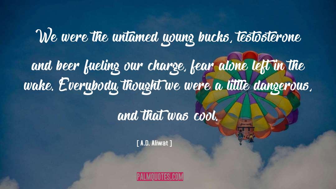 Cool quotes by A.D. Aliwat