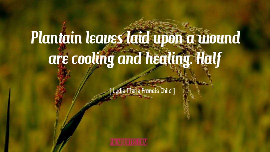 Cooling quotes by Lydia Maria Francis Child