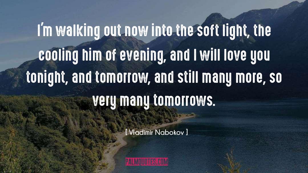 Cooling quotes by Vladimir Nabokov