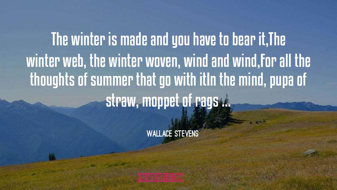 Coolness Of Winter And Complain quotes by Wallace Stevens