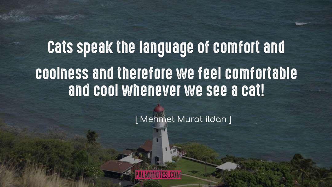 Coolness quotes by Mehmet Murat Ildan