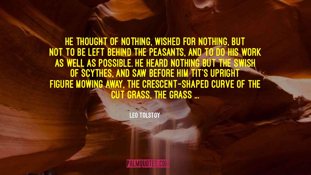 Coolness quotes by Leo Tolstoy