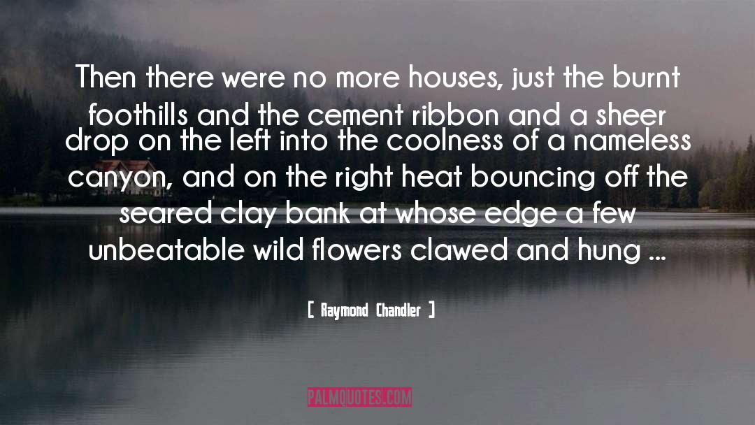 Coolness quotes by Raymond Chandler