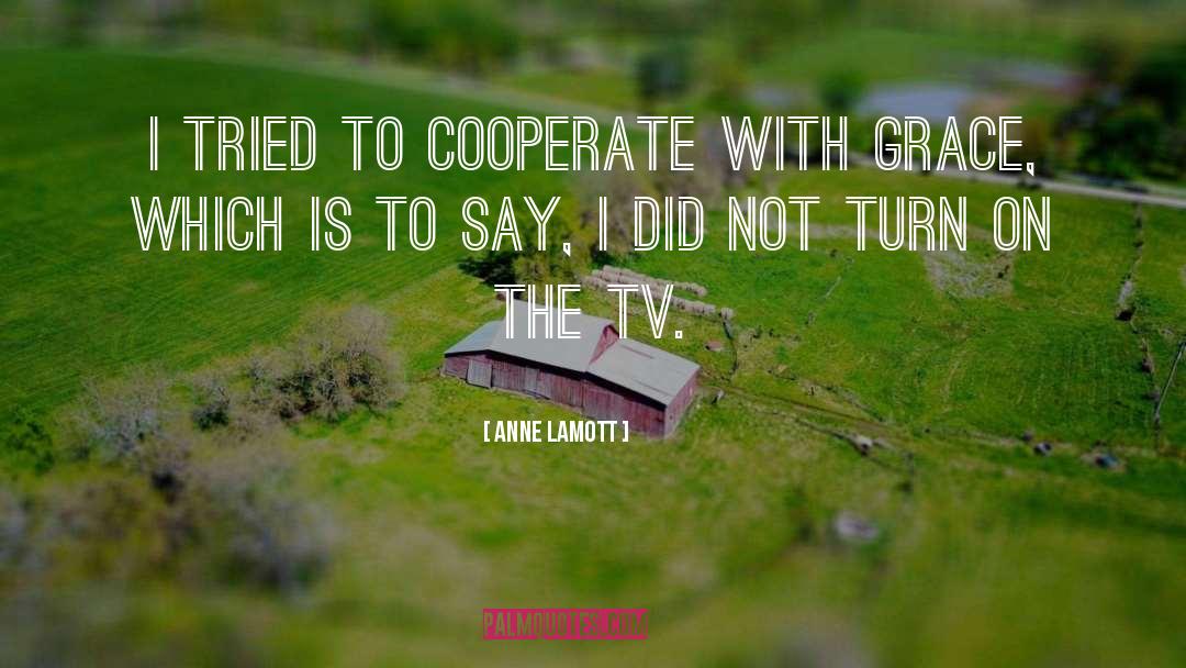 Cooperate quotes by Anne Lamott