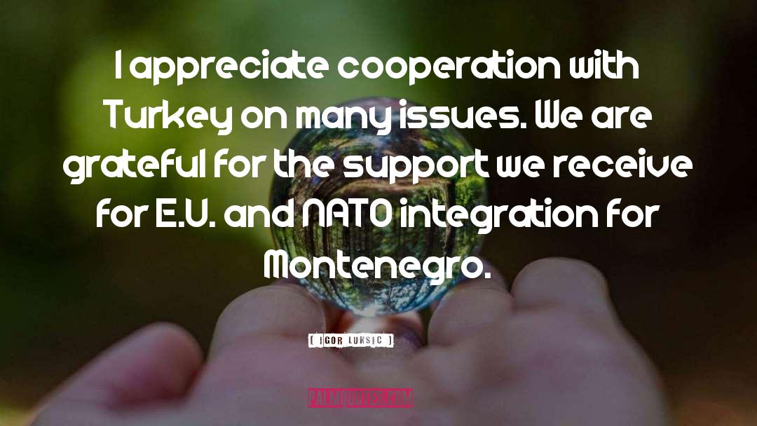 Cooperation quotes by Igor Luksic