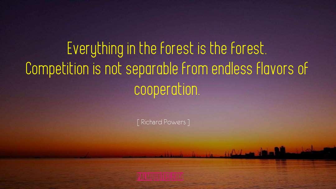 Cooperation quotes by Richard Powers