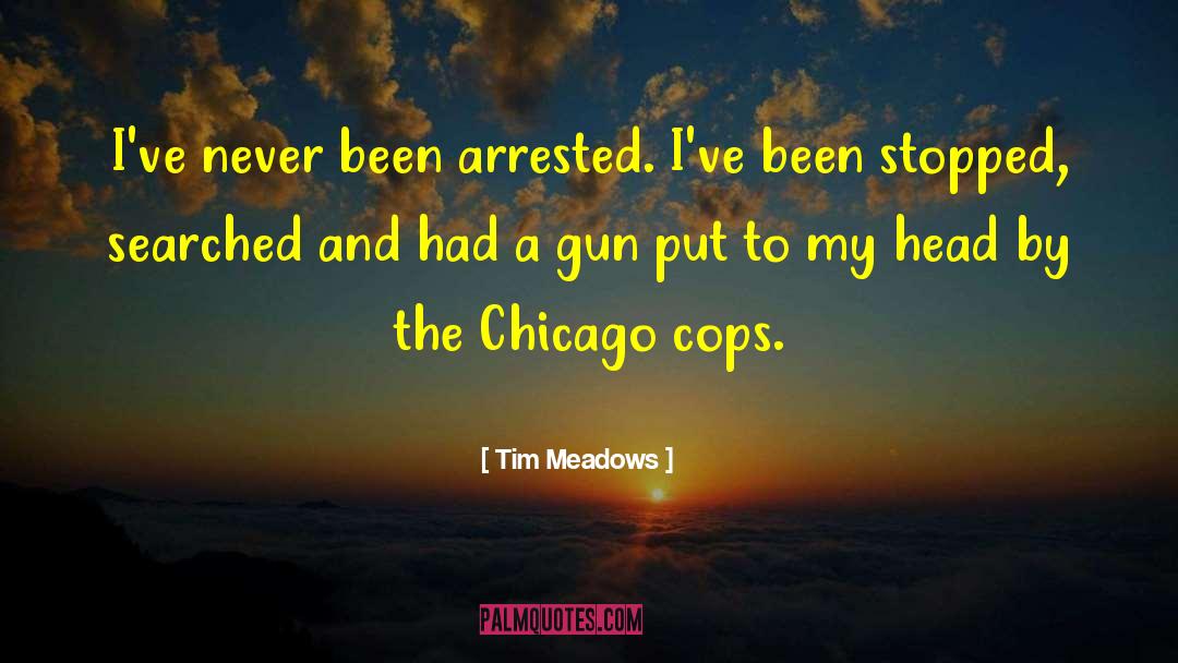 Cop Out quotes by Tim Meadows