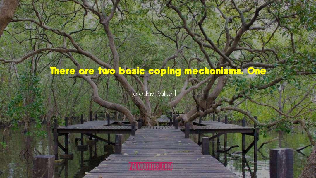 Coping Mechanisms quotes by Jaroslav Kalfar