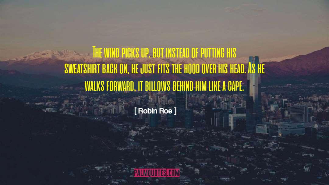 Copper Hood quotes by Robin Roe