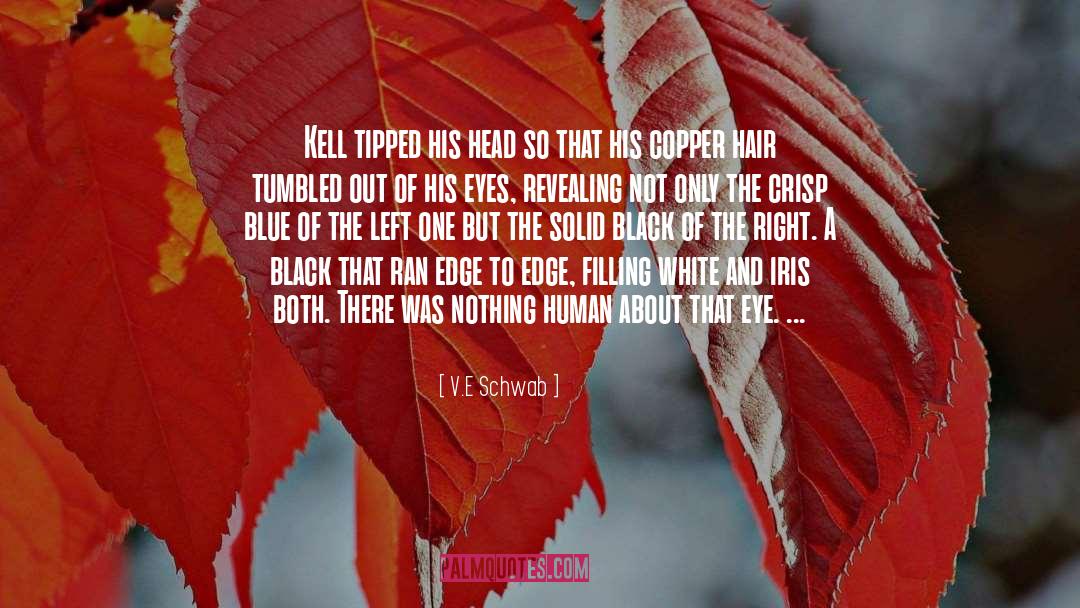 Copper Hood quotes by V.E Schwab