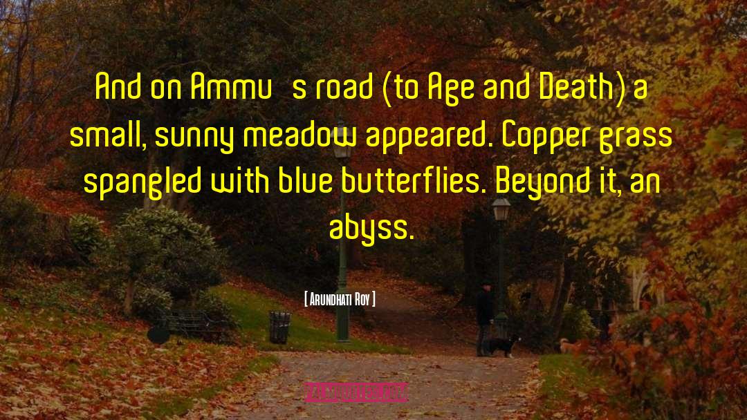 Copper quotes by Arundhati Roy